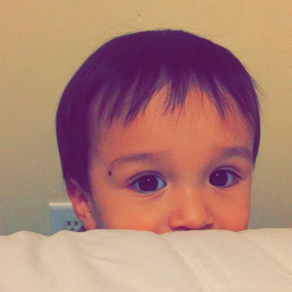 Meet your Posher, Clara - Picture 1 of 1